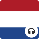 Niderlandzki dla pocz. z el. biznesu